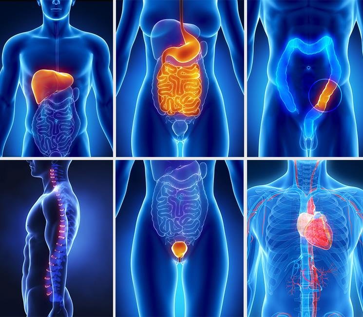 software analizador cuantico